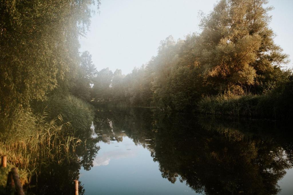 Dom Goscinny Sowia Stopka Miłomłyn المظهر الخارجي الصورة
