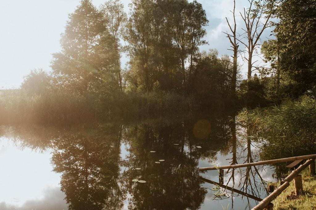 Dom Goscinny Sowia Stopka Miłomłyn المظهر الخارجي الصورة